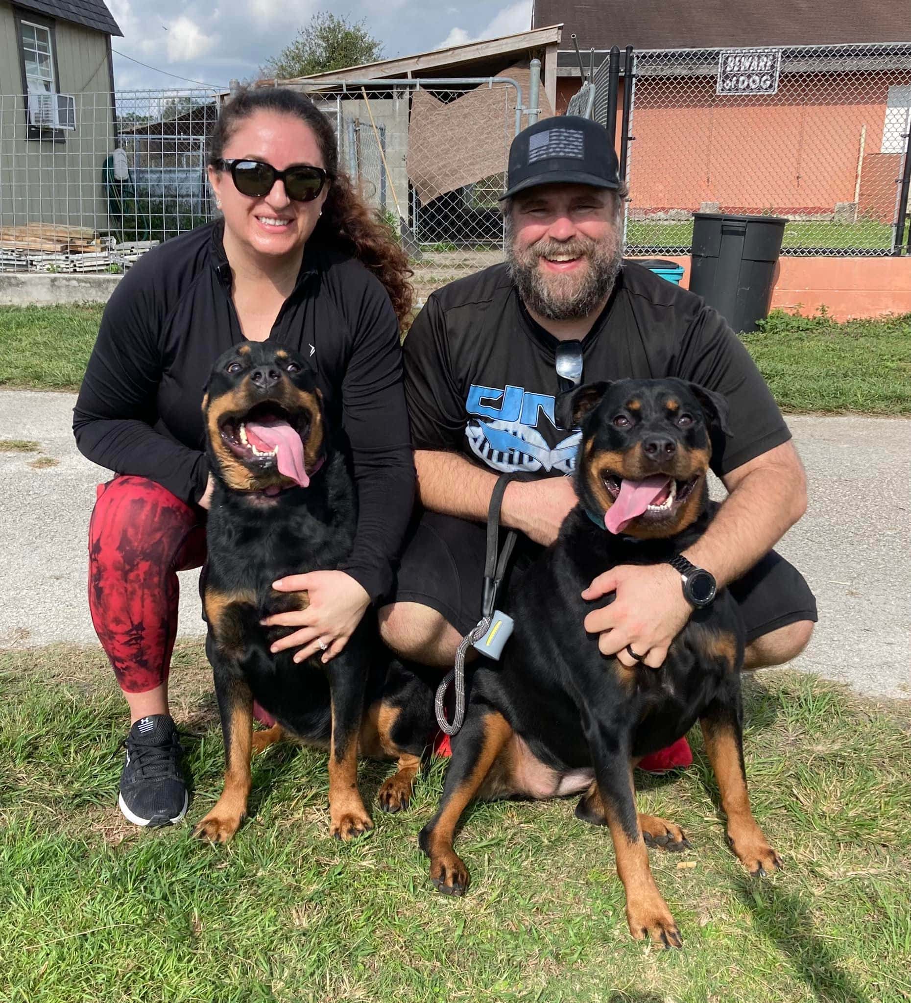 Storm And Daisy Adopted