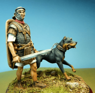 Ancient Roman Drover Dog
