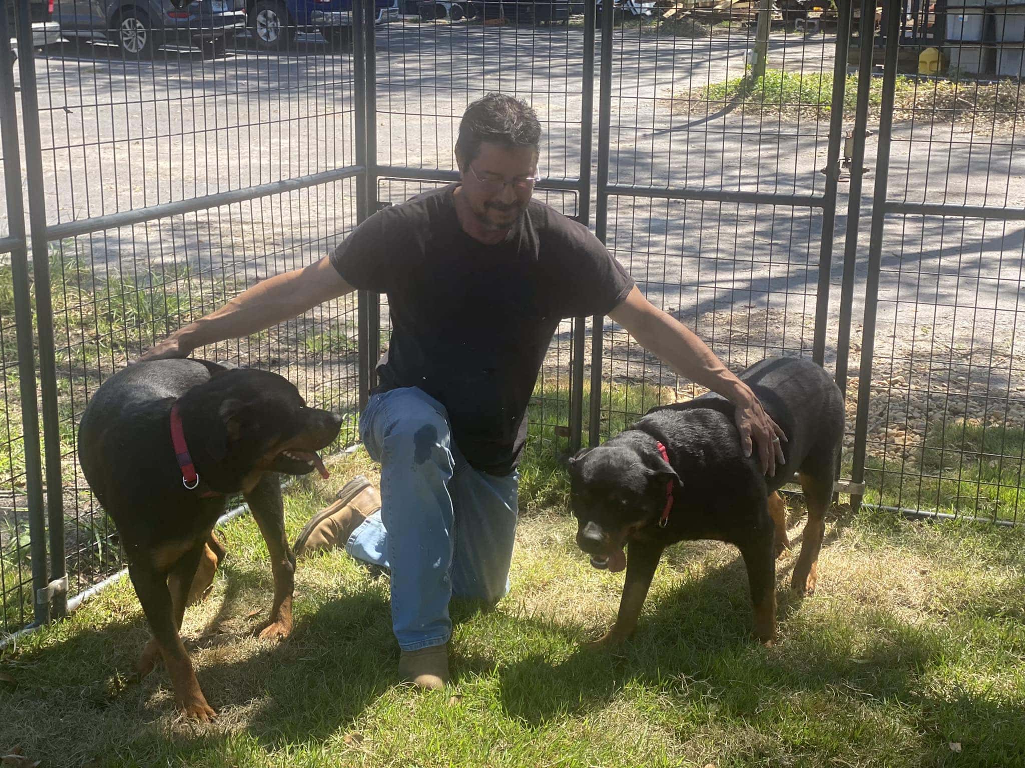 Dixie And Daisy Adopted 1