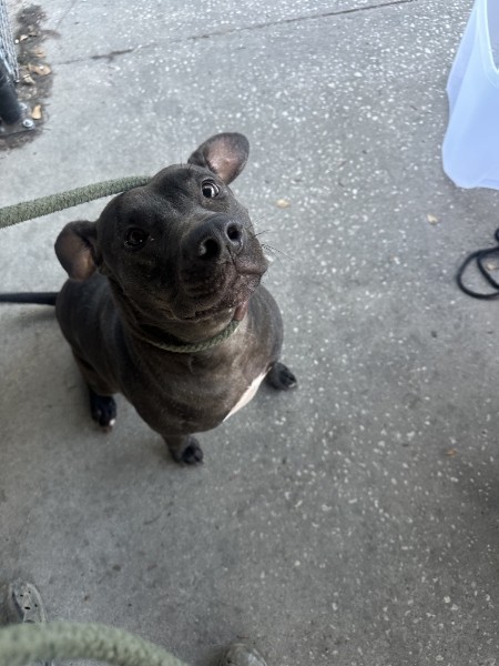 1ed1dd86 C871 4f17 89c9 E86c9b0478d1